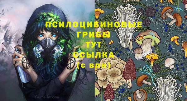 прущие крисы Верхний Тагил
