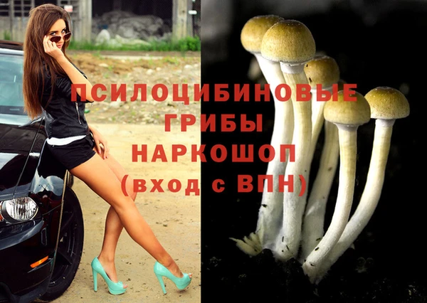 спайс Володарск