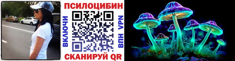 закладка  Исилькуль  Псилоцибиновые грибы прущие грибы 